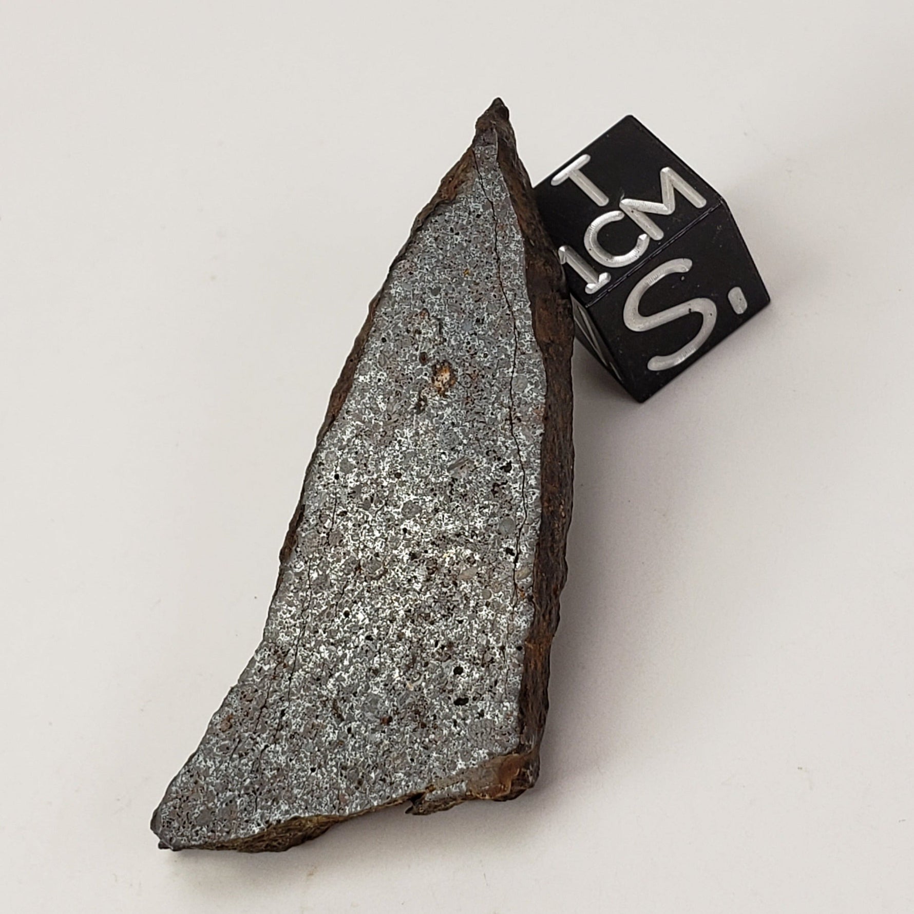  Dhofar 224 Meteorite | 9.68 Grams | Slice | Rare H4 Chondrite | Sahara | SO24 