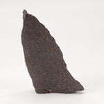  Dhofar 224 Meteorite | 9.68 Grams | Slice | Rare H4 Chondrite | Sahara | SO24 2