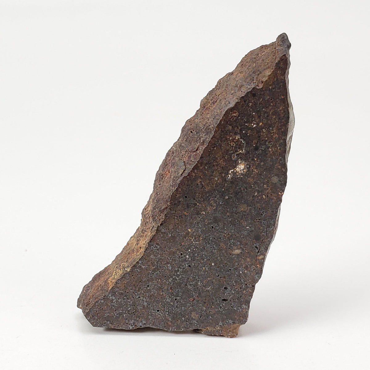  Dhofar 224 Meteorite | 9.68 Grams | Slice | Rare H4 Chondrite | Sahara | SO24 5