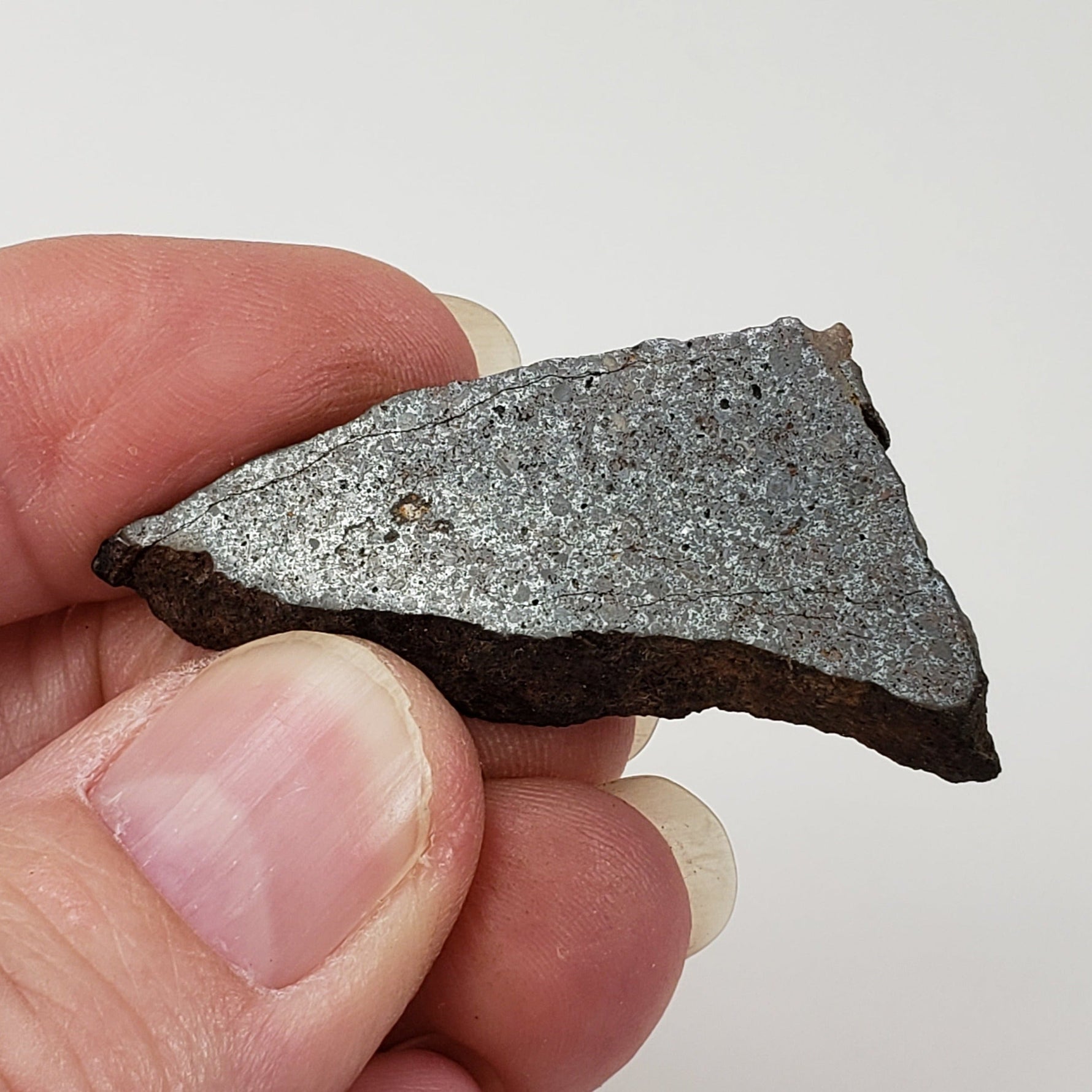  Dhofar 224 Meteorite | 9.68 Grams | Slice | Rare H4 Chondrite | Sahara | SO24 6