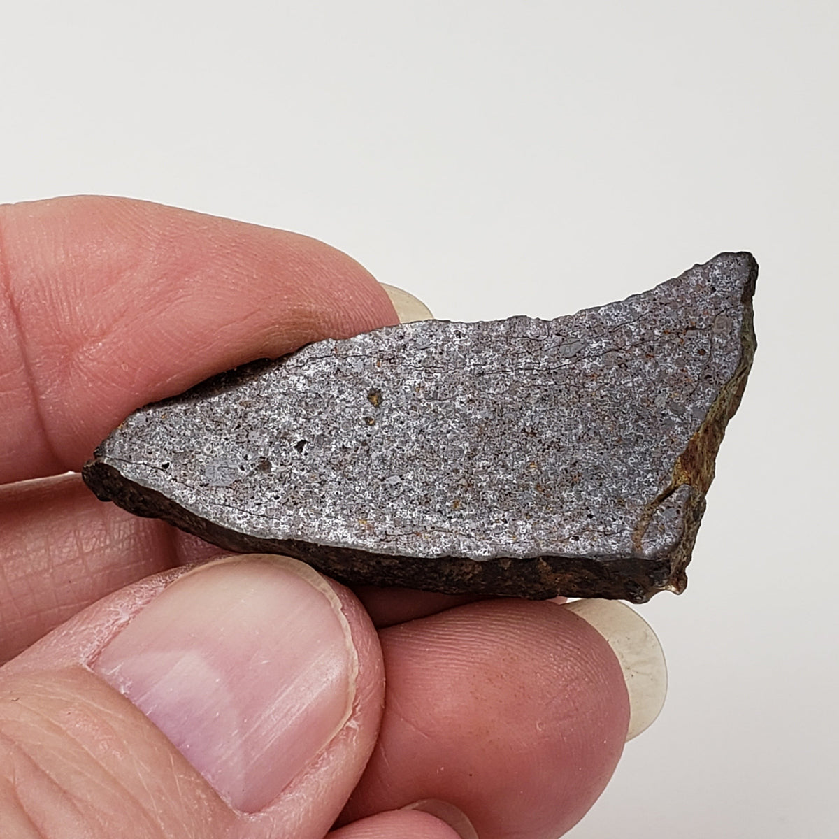  Dhofar 224 Meteorite | 9.68 Grams | Slice | Rare H4 Chondrite | Sahara | SO24 7