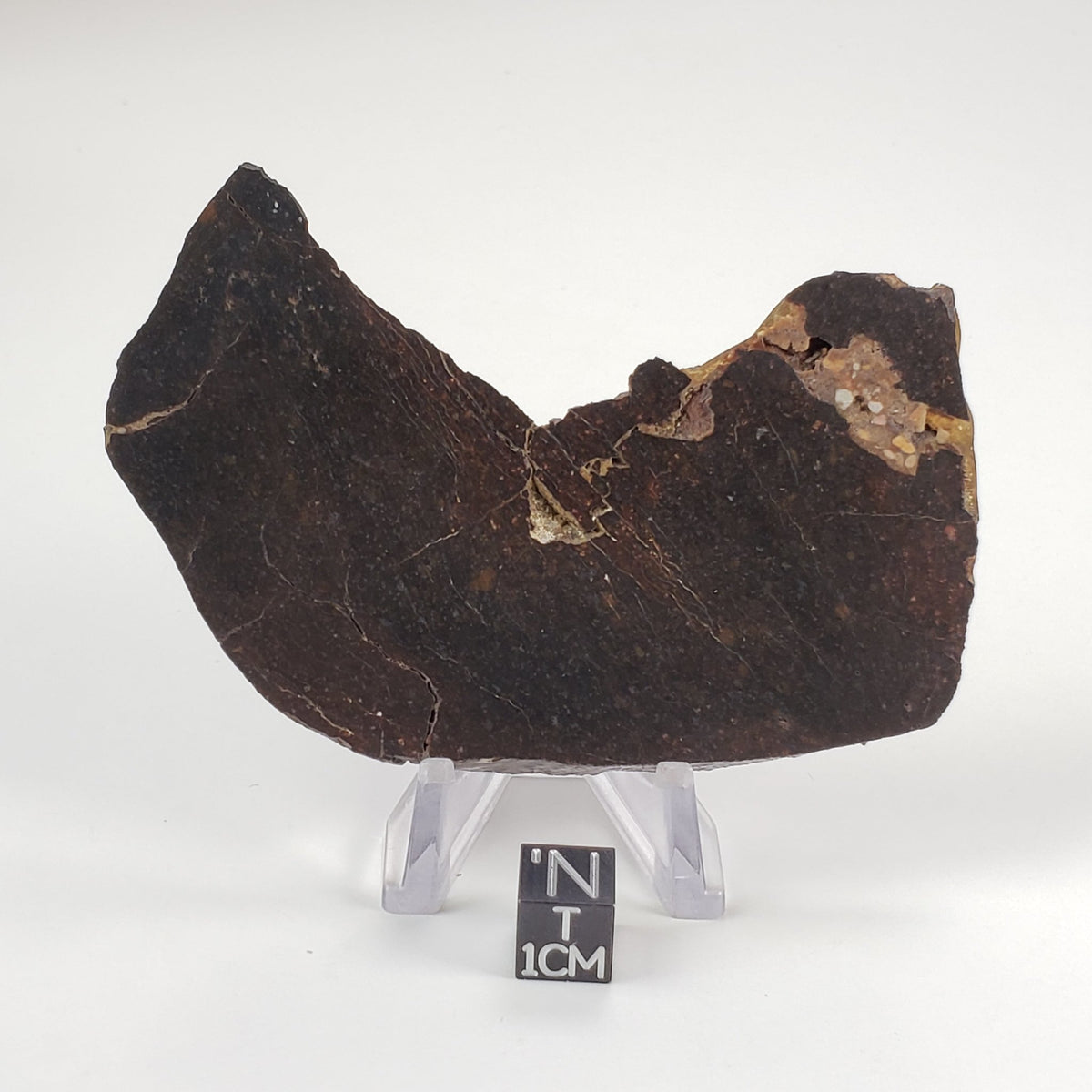  Dhofar 273 Meteorite | 75.60 Grams | Slice | L5 Chondrite | Sahara | SO24 