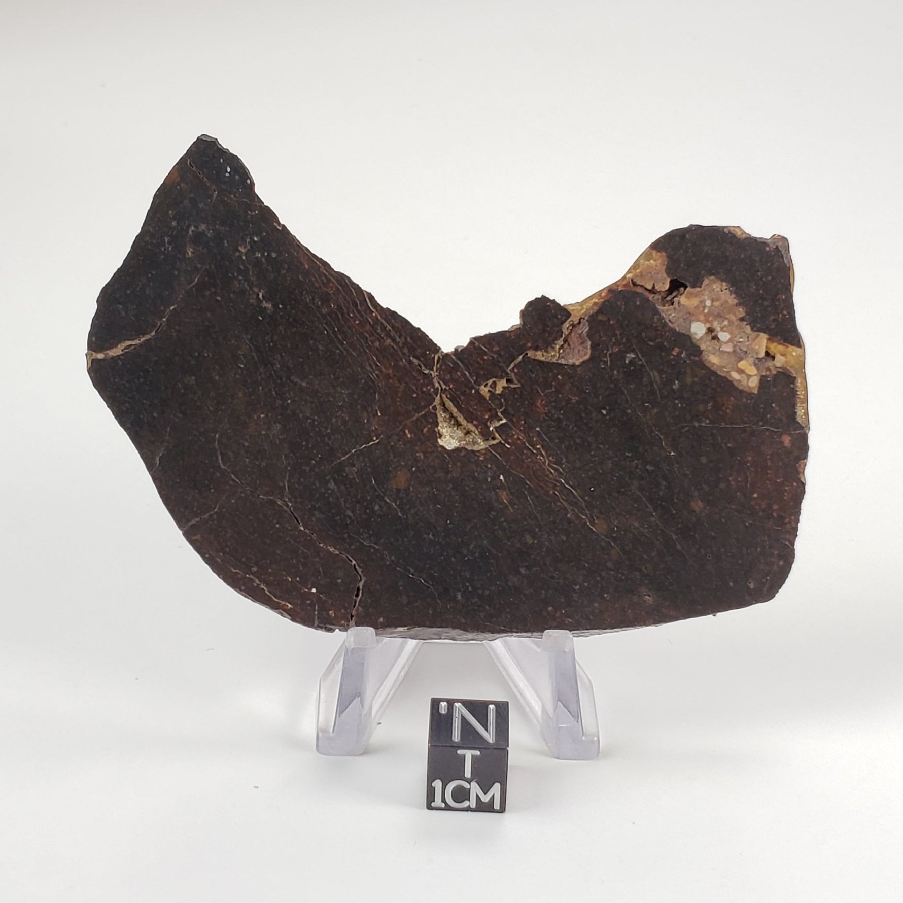  Dhofar 273 Meteorite | 75.60 Grams | Slice | L5 Chondrite | Sahara | SO24 