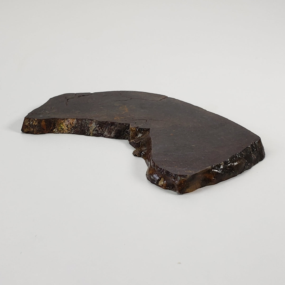  Dhofar 273 Meteorite | 75.60 Grams | Slice | L5 Chondrite | Sahara | SO24 2