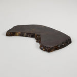  Dhofar 273 Meteorite | 75.60 Grams | Slice | L5 Chondrite | Sahara | SO24 2