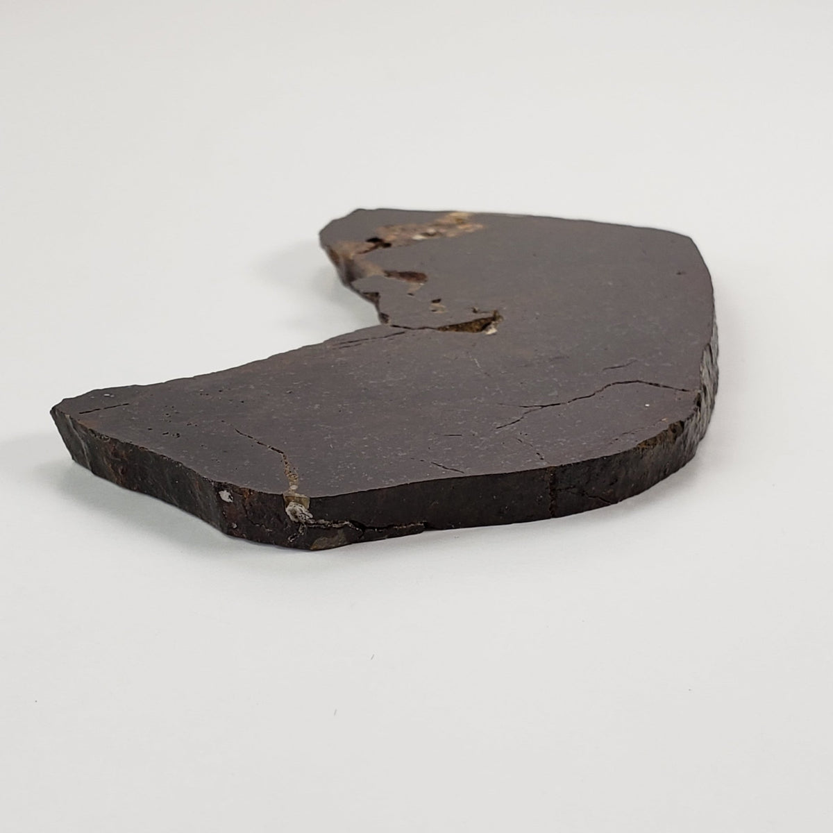 Dhofar 273 Meteorite | 75.60 Grams | Slice | L5 Chondrite | Sahara | SO24 3