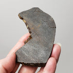  Dhofar 273 Meteorite | 75.60 Grams | Slice | L5 Chondrite | Sahara | SO24 5