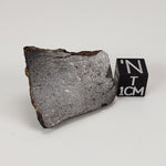  Dhofar 273 Meteorite | 9.0 Grams | Part Slice | L5 Chondrite | Sahara | SO24 