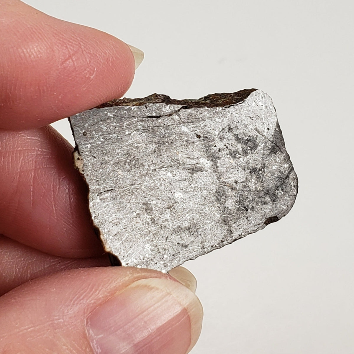  Dhofar 273 Meteorite | 9.0 Grams | Part Slice | L5 Chondrite | Sahara | SO24 1