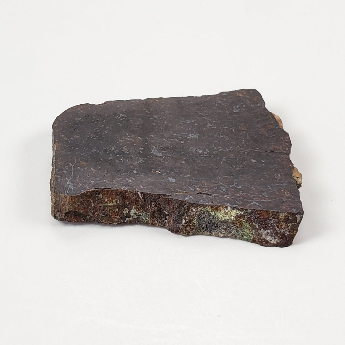  Dhofar 273 Meteorite | 9.0 Grams | Part Slice | L5 Chondrite | Sahara | SO24 5