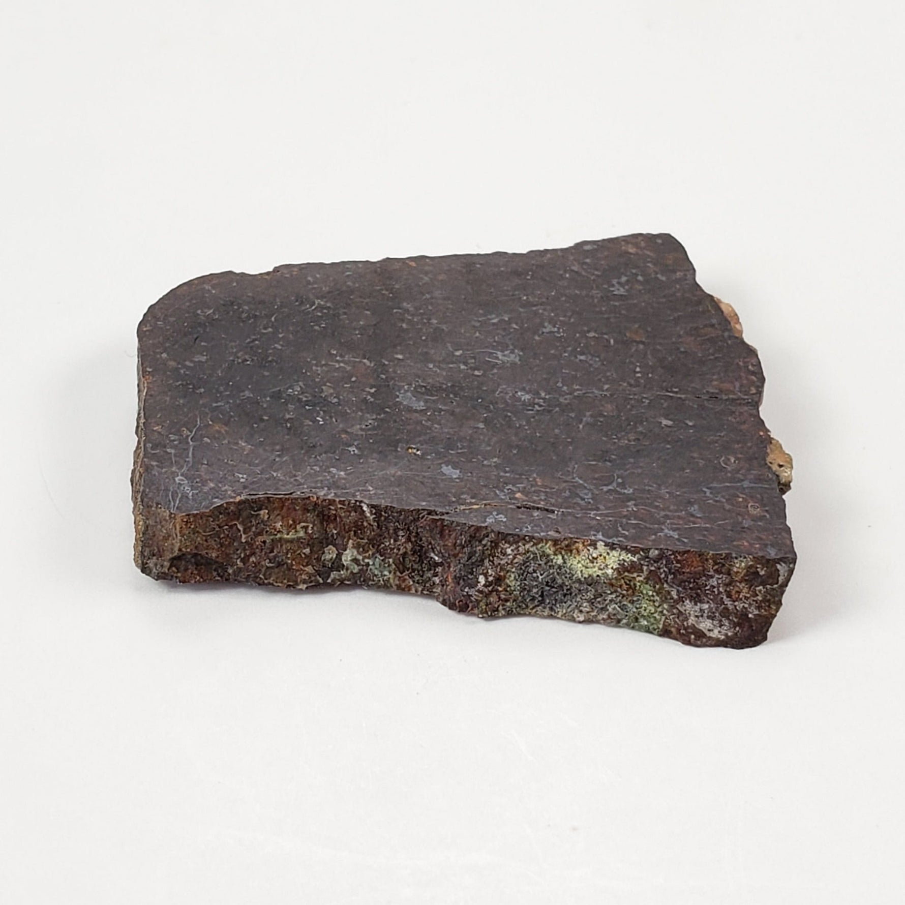  Dhofar 273 Meteorite | 9.0 Grams | Part Slice | L5 Chondrite | Sahara | SO24 5