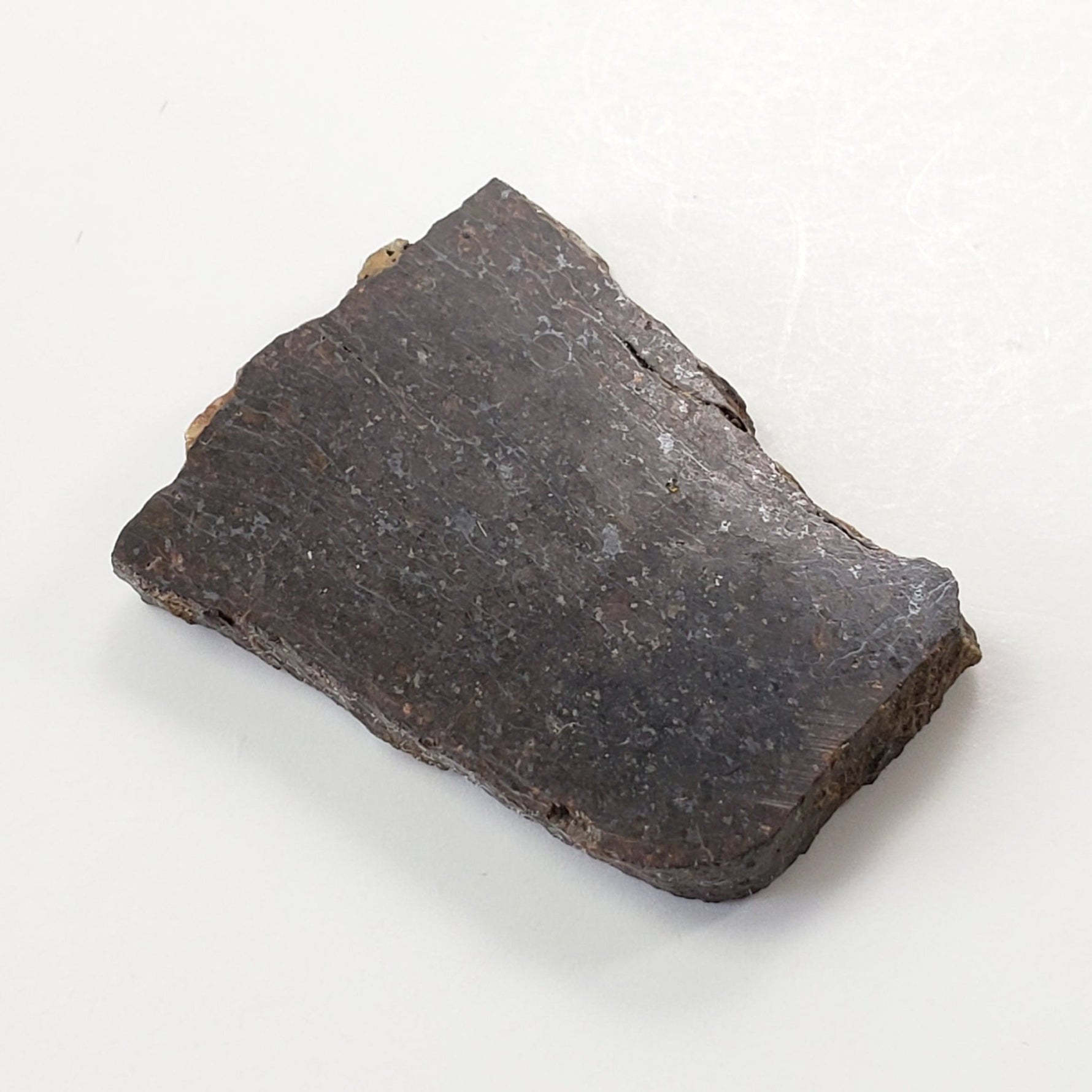  Dhofar 273 Meteorite | 9.0 Grams | Part Slice | L5 Chondrite | Sahara | SO24 6