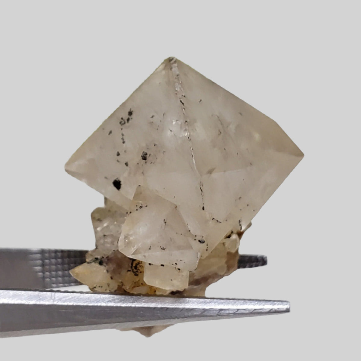  Double Terminated Quartz Crystal | 5.3 Grams | Severn Bridge, Ontario Canada 