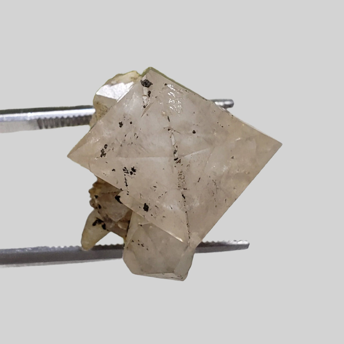  Double Terminated Quartz Crystal | 5.3 Grams | Severn Bridge, Ontario Canada 3