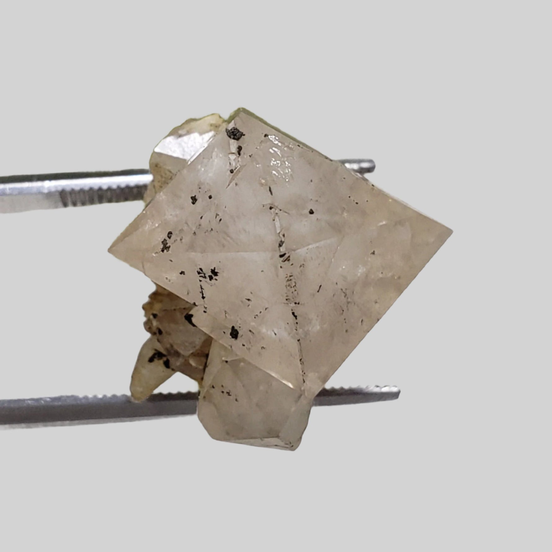  Double Terminated Quartz Crystal | 5.3 Grams | Severn Bridge, Ontario Canada 3