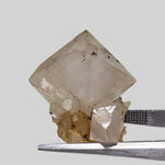  Double Terminated Quartz Crystal | 5.3 Grams | Severn Bridge, Ontario Canada 4