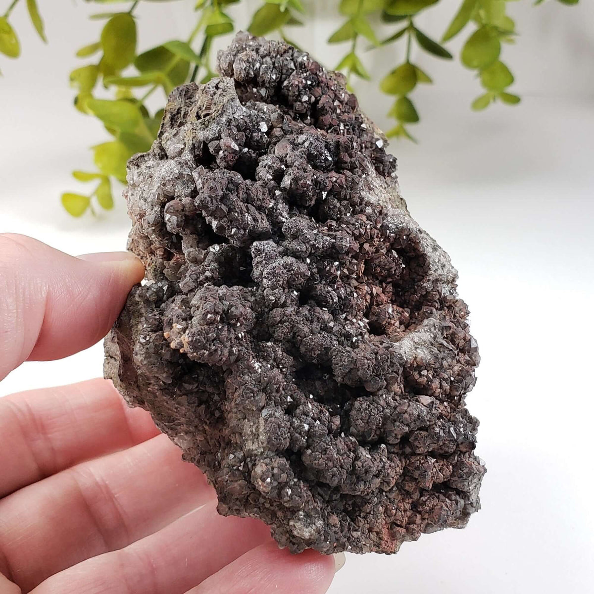  Drusy Quartz with Hematite Spheres | Crystal Cluster | 443 Grams | Bancroft, Ontario | SO24 8