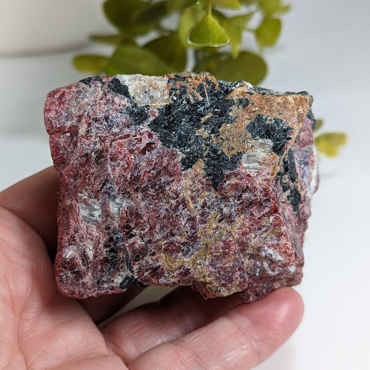  Eudialyte | Fluorescent under UV light | 201.62 grams | Kipawa, Quebec, Canada  | SO24 4