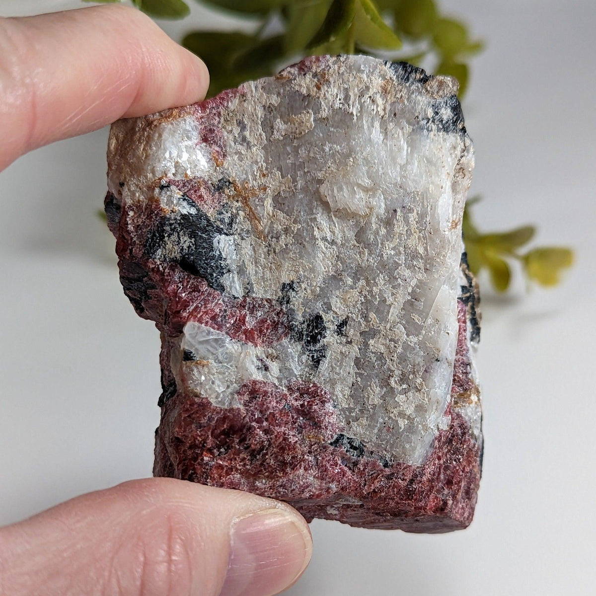  Eudialyte | Fluorescent under UV light | 201.62 grams | Kipawa, Quebec, Canada  | SO24 5