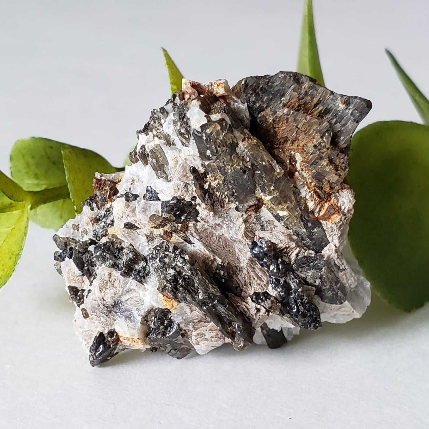  Fluor-Richterite on Calcite Matrix Rare Crystal Mineral 15.4 grams, Wilberforce Ontario Canada | SO24 1