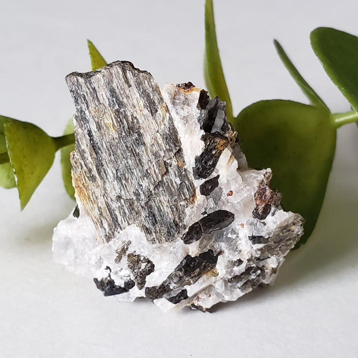  Fluor-Richterite on Calcite Matrix Rare Crystal Mineral 15.4 grams, Wilberforce Ontario Canada | SO24 