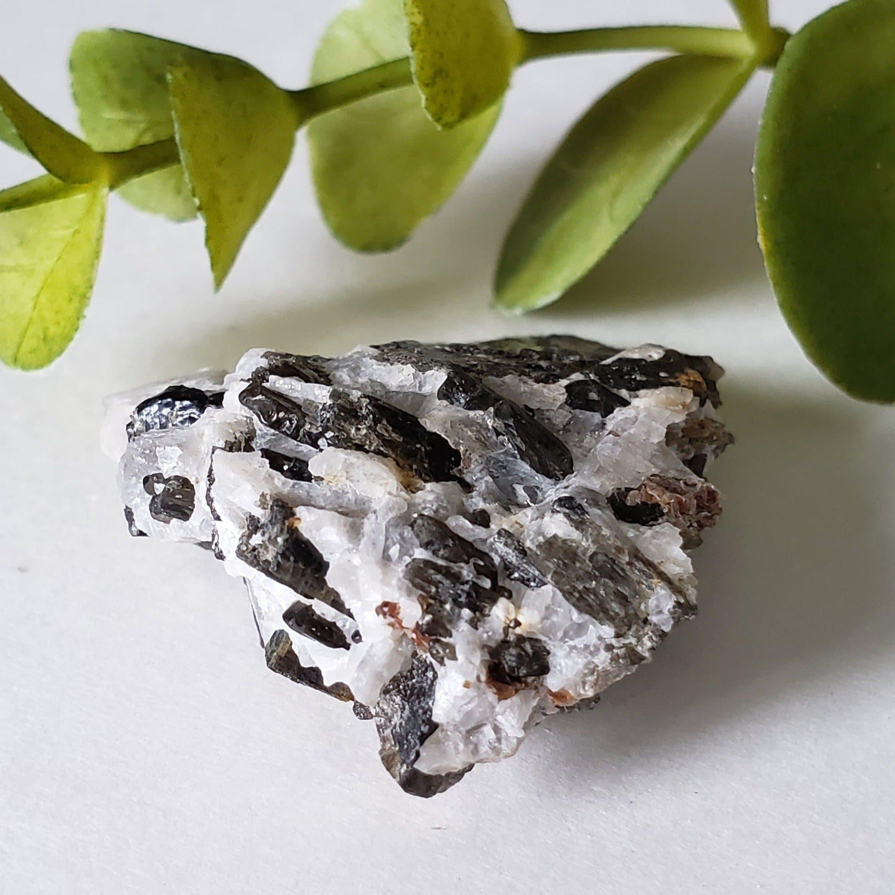  Fluor-Richterite on Calcite Matrix Rare Crystal Mineral 15.4 grams, Wilberforce Ontario Canada | SO24 2