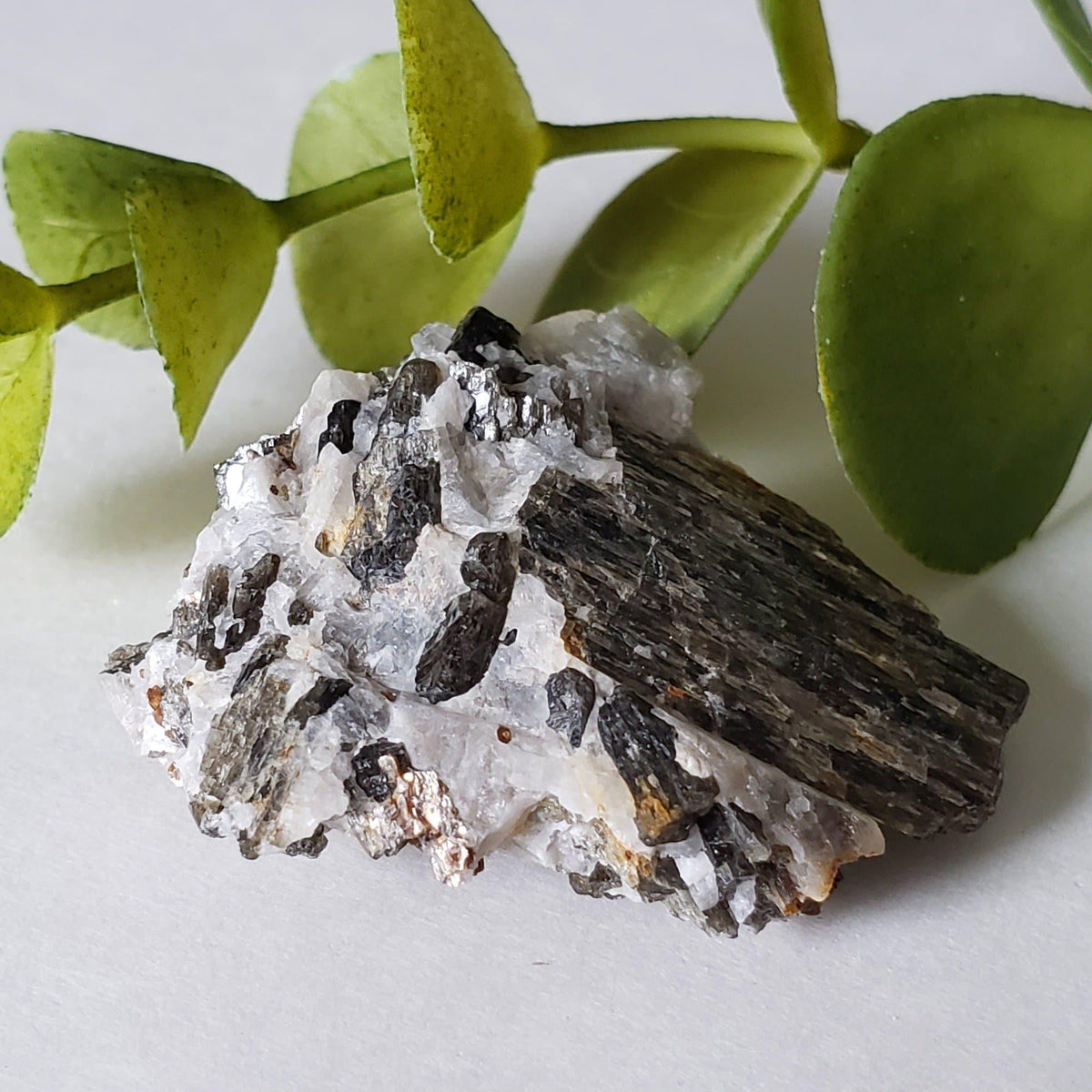  Fluor-Richterite on Calcite Matrix Rare Crystal Mineral 15.4 grams, Wilberforce Ontario Canada | SO24 3