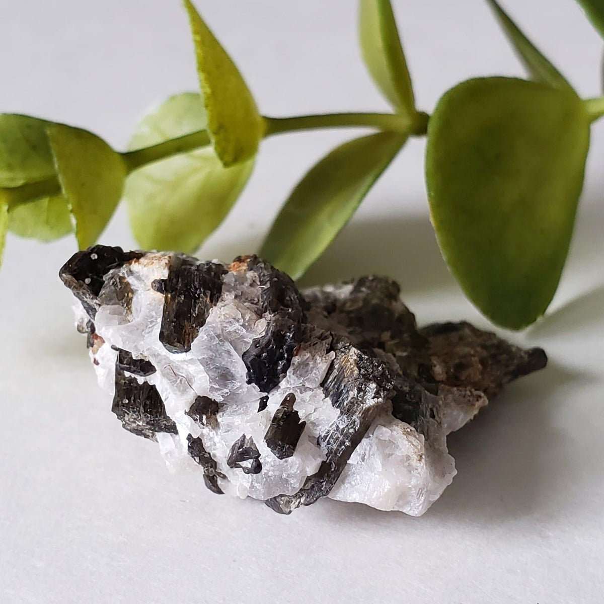  Fluor-Richterite on Calcite Matrix Rare Crystal Mineral 15.4 grams, Wilberforce Ontario Canada | SO24 4