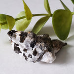  Fluor-Richterite on Calcite Matrix Rare Crystal Mineral 15.4 grams, Wilberforce Ontario Canada | SO24 4