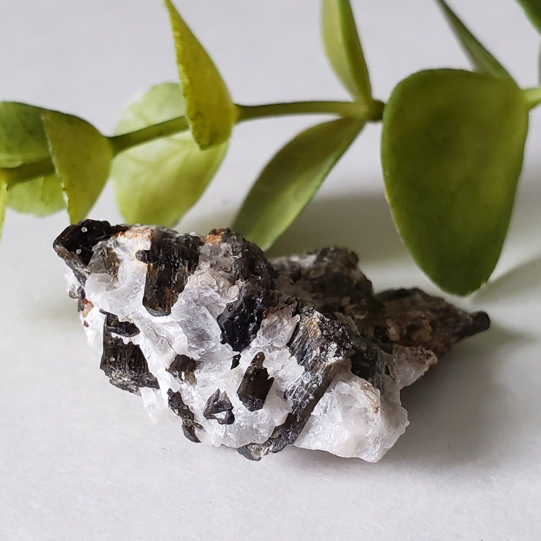  Fluor-Richterite on Calcite Matrix Rare Crystal Mineral 15.4 grams, Wilberforce Ontario Canada | SO24 4