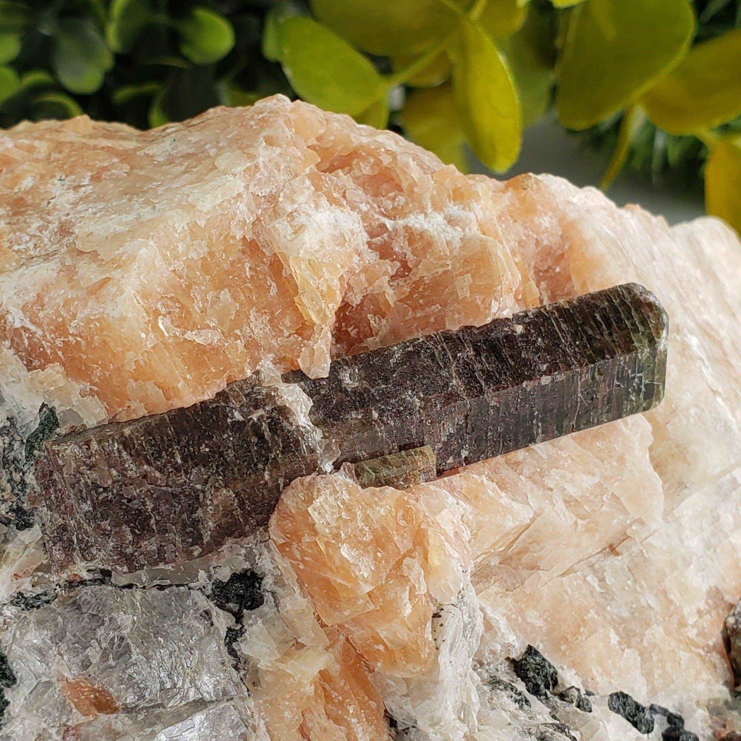  Fluorapatite Crystal on Calcite Matrix | 1.32 Kg | Otter Lake, Quebec, Canada 1