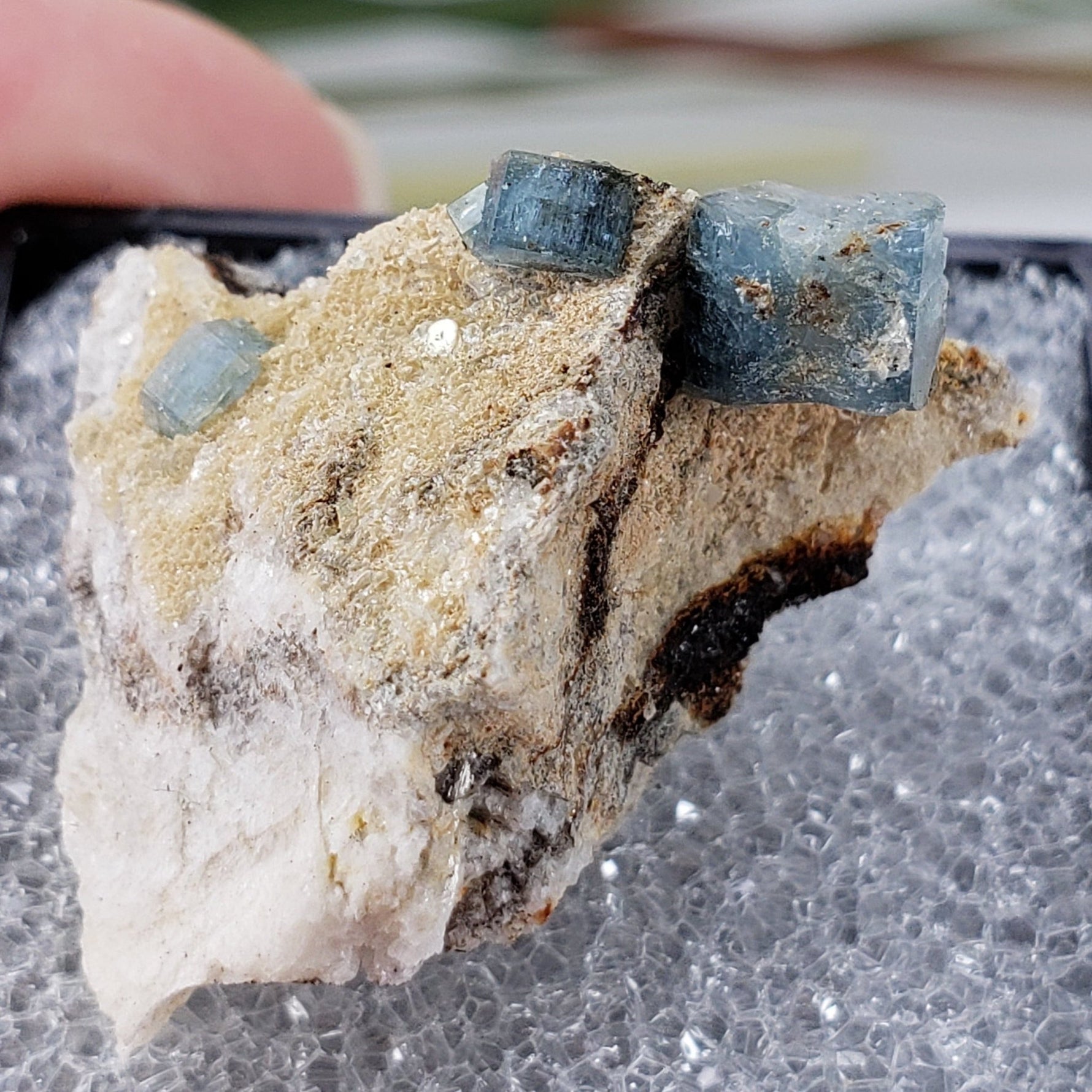  Fluorapatite Crystals on Matrix | Perky Box Thumbnail Specimen | Greenwood, Maine | SO24 4