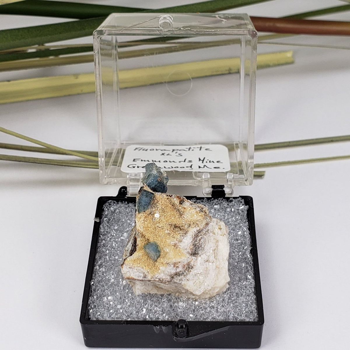  Fluorapatite Crystals on Matrix | Perky Box Thumbnail Specimen | Greenwood, Maine | SO24 6