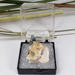  Fluorapatite Crystals on Matrix | Perky Box Thumbnail Specimen | Greenwood, Maine | SO24 6
