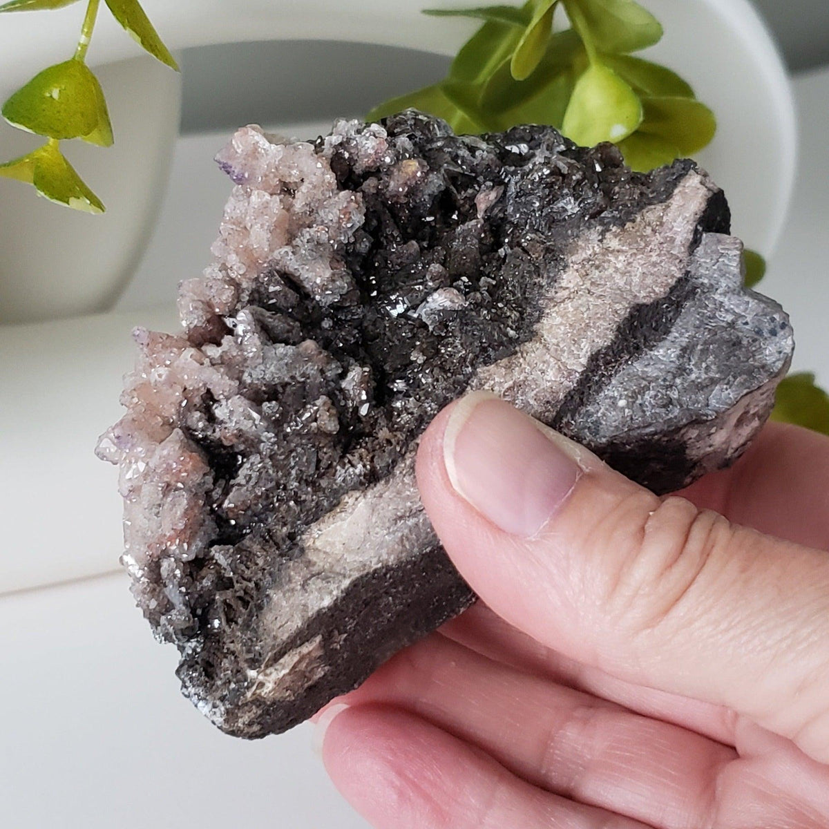  Fluorite on Calcite Cluster | 364 Grams | Famous Hercules Mine, Mexico SO24 3