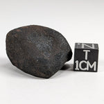  Gao-Guenie Meteorite | 20.86 gr | H5 Chondrite | Observed Fall | Burkina Faso | 100% Crusted SO24 
