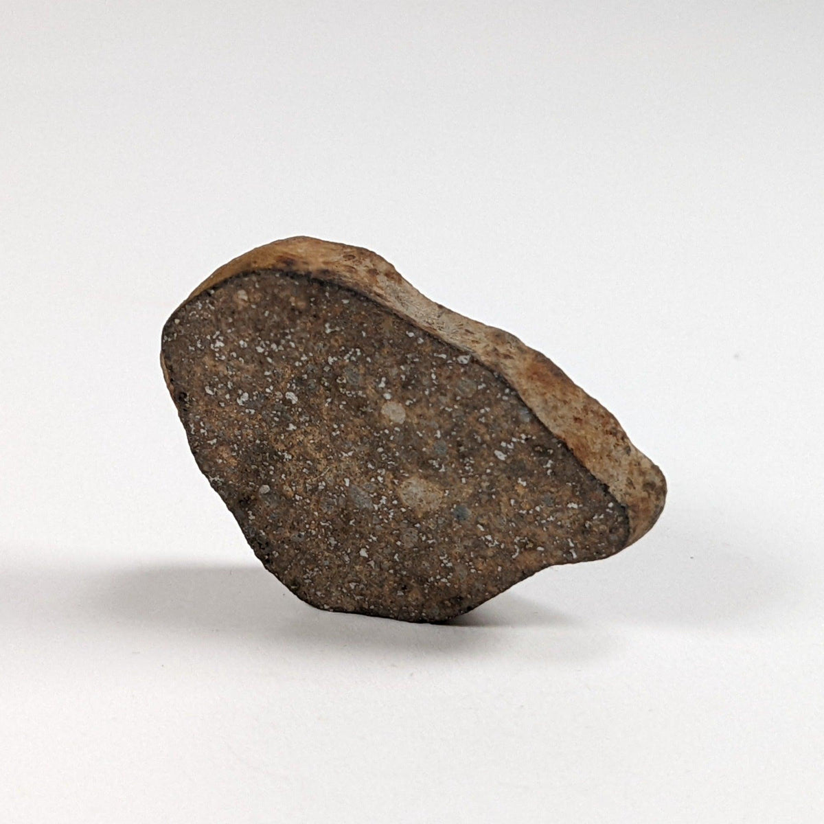  Gao-Guenie Meteorite-in-a-Box | 10.8 grams | End Cut | H5 Chondrite | Observed Fall | Burkina Faso SO24 4