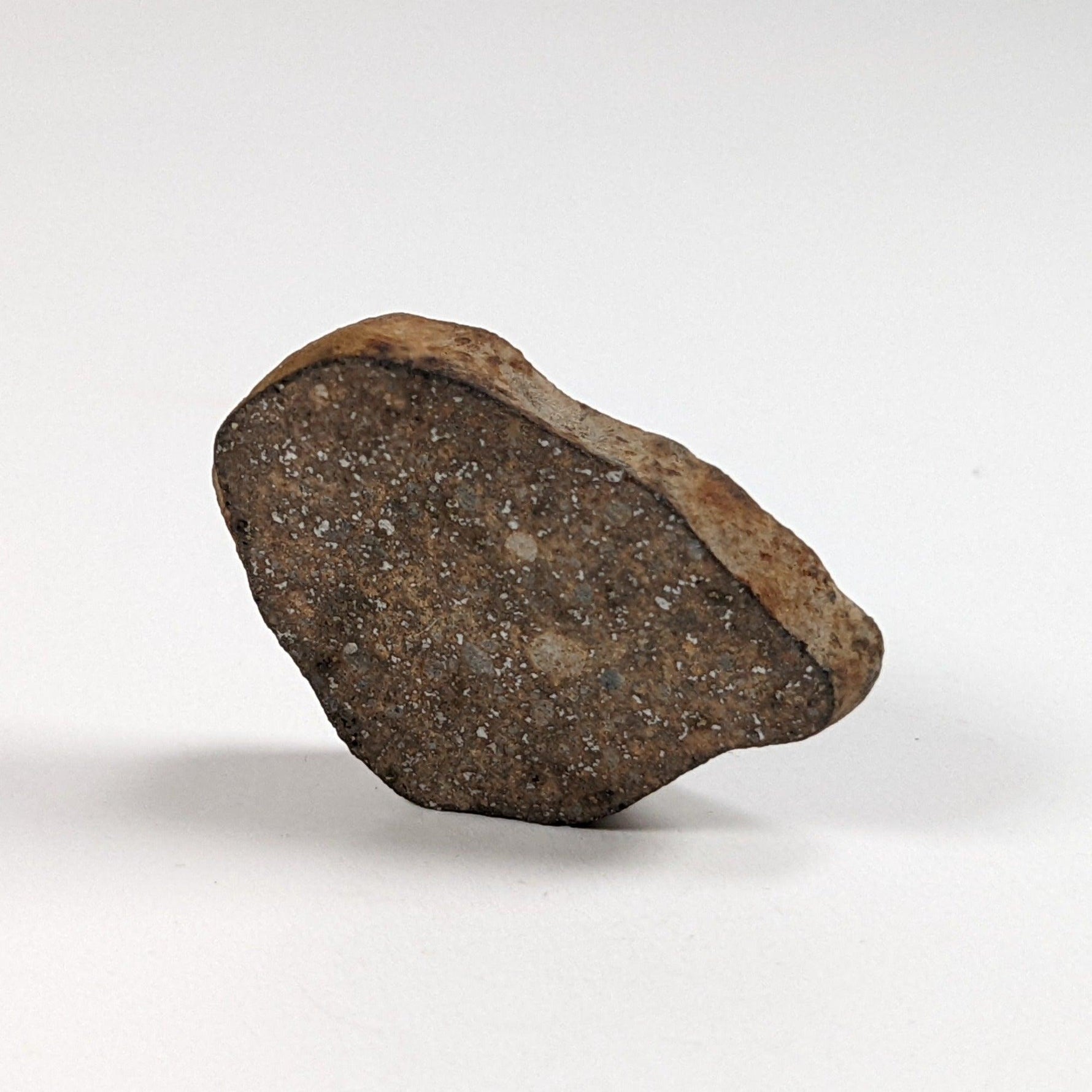  Gao-Guenie Meteorite-in-a-Box | 10.8 grams | End Cut | H5 Chondrite | Observed Fall | Burkina Faso SO24 4