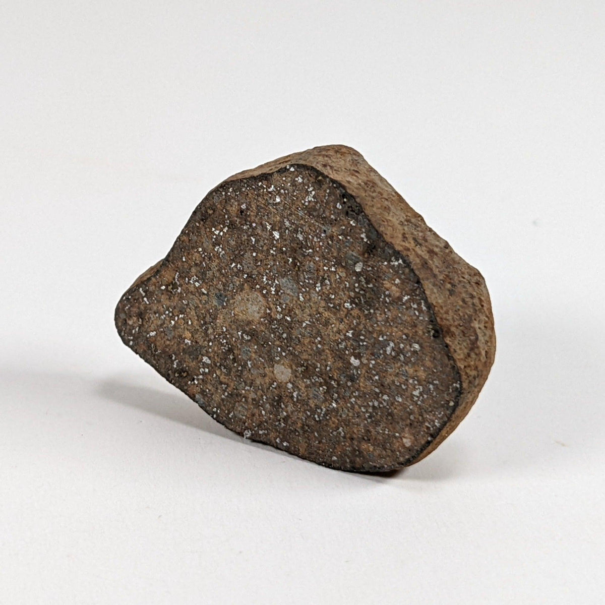 Gao-Guenie Meteorite-in-a-Box | 10.8 grams | End Cut | H5 Chondrite | Observed Fall | Burkina Faso SO24 5