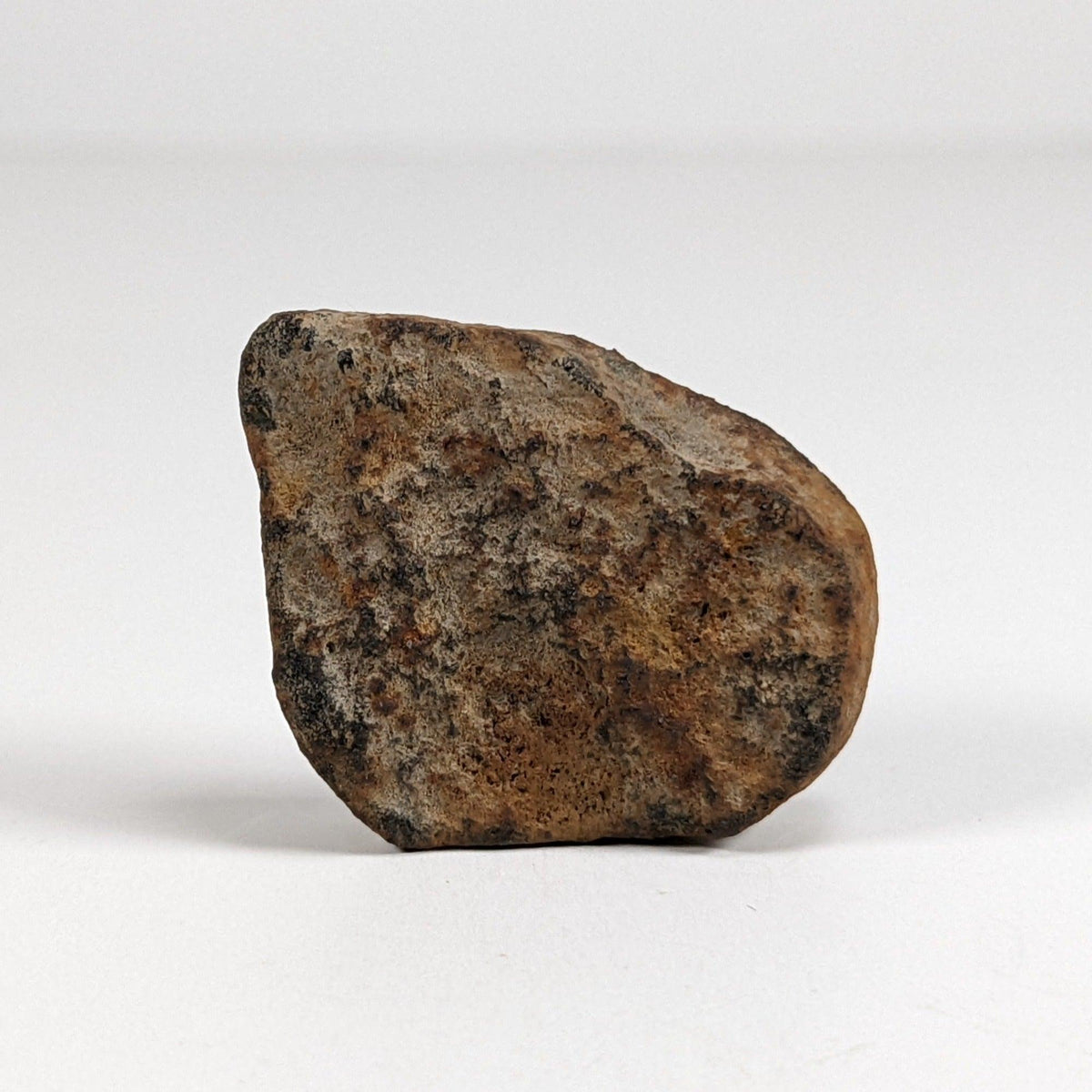  Gao-Guenie Meteorite-in-a-Box | 10.8 grams | End Cut | H5 Chondrite | Observed Fall | Burkina Faso SO24 9