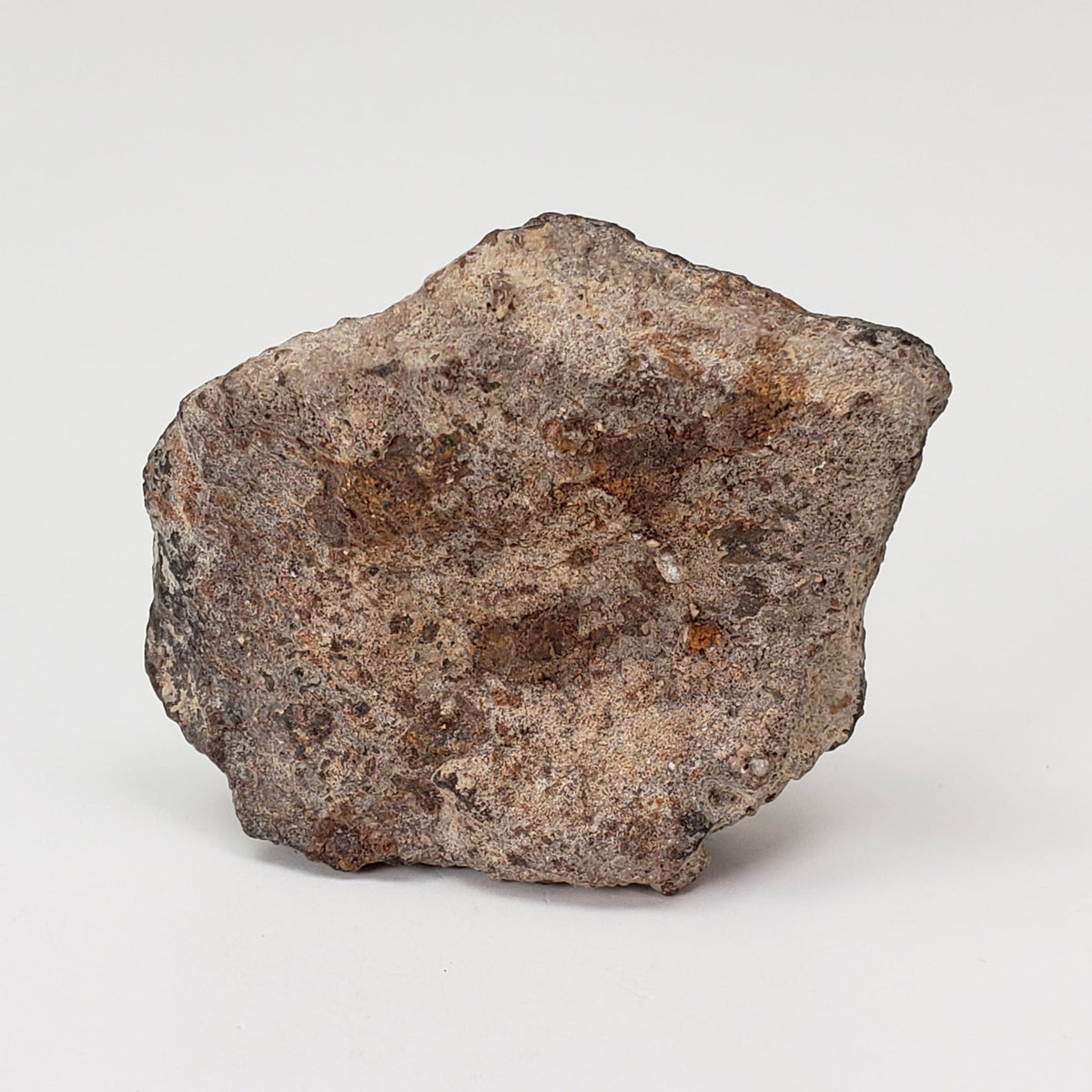  Ghubara Meteorite | 39.7 Gr | Individual | Rare Stony Black L5 Chondrite 1