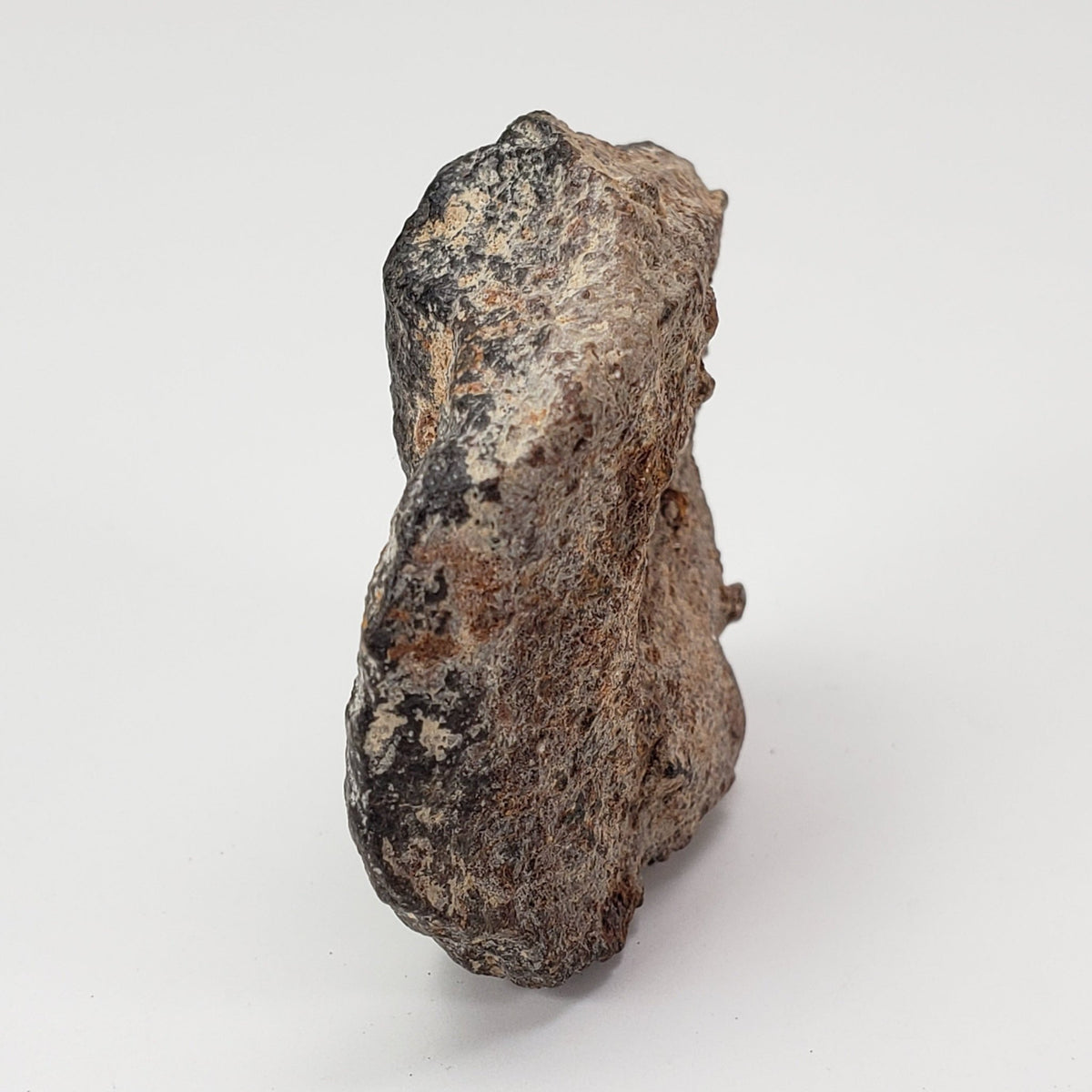  Ghubara Meteorite | 39.7 Gr | Individual | Rare Stony Black L5 Chondrite 3