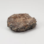  Ghubara Meteorite | 39.7 Gr | Individual | Rare Stony Black L5 Chondrite 4
