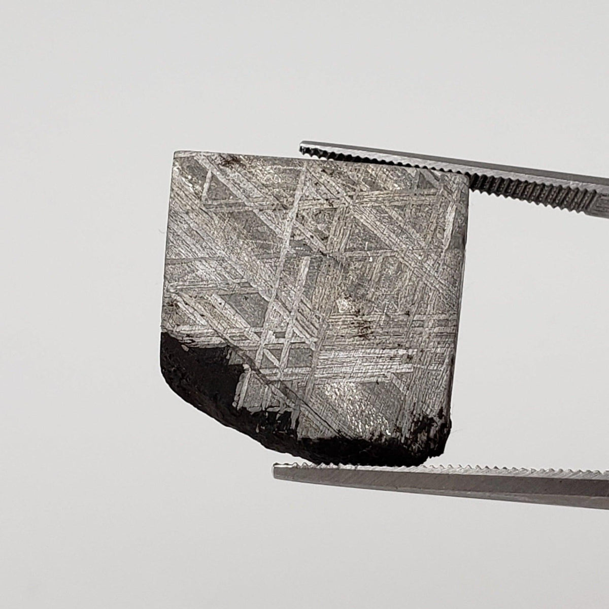 Gibeon Meteorite | 12.47 Grams | Etched Part Slice | Iron IVA | Namibia | SO24 8