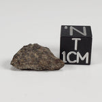  Gold Basin Meteorite | 1.0 Grams | L4 Chondrite | Arizona | SO24 