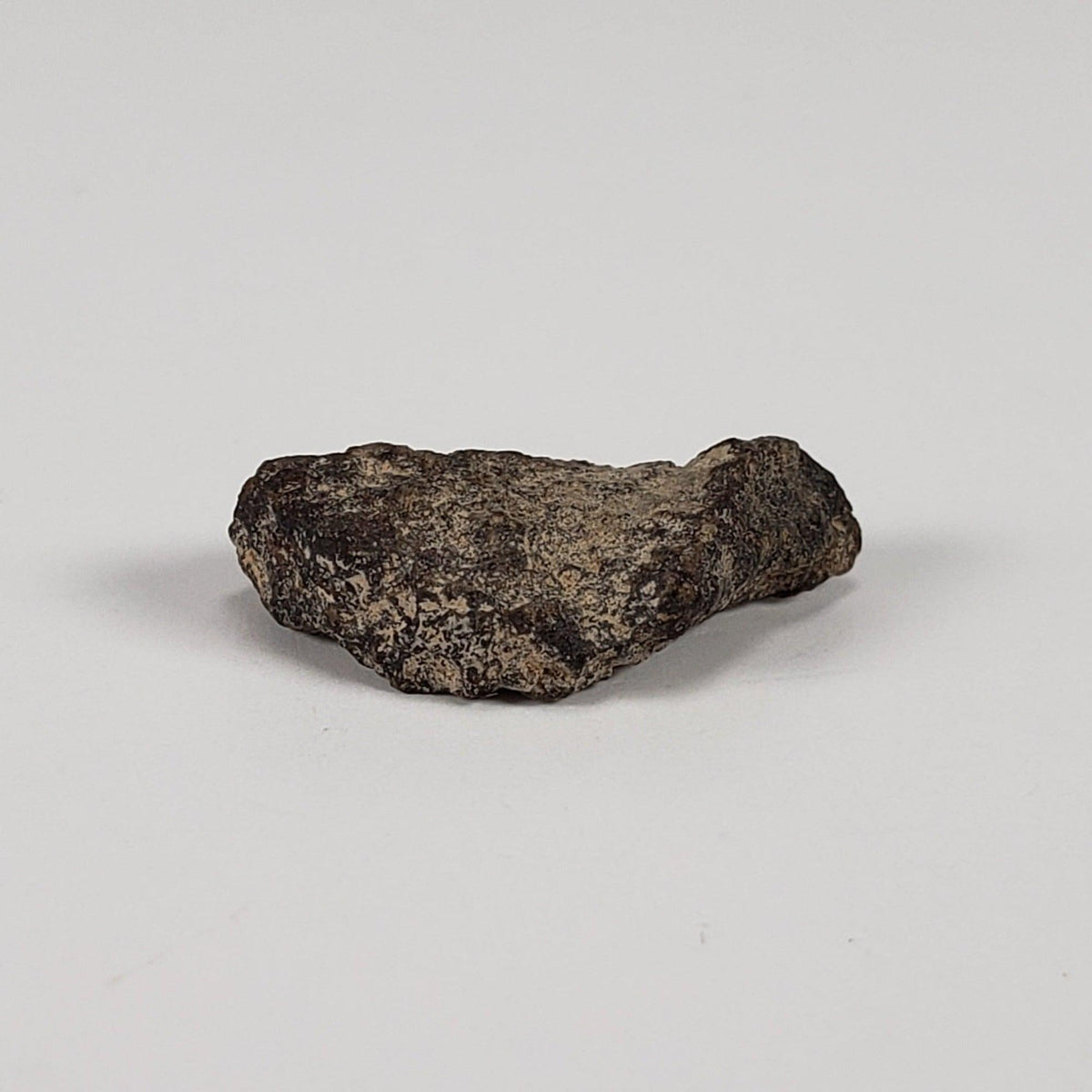  Gold Basin Meteorite | 1.0 Grams | L4 Chondrite | Arizona | SO24 1
