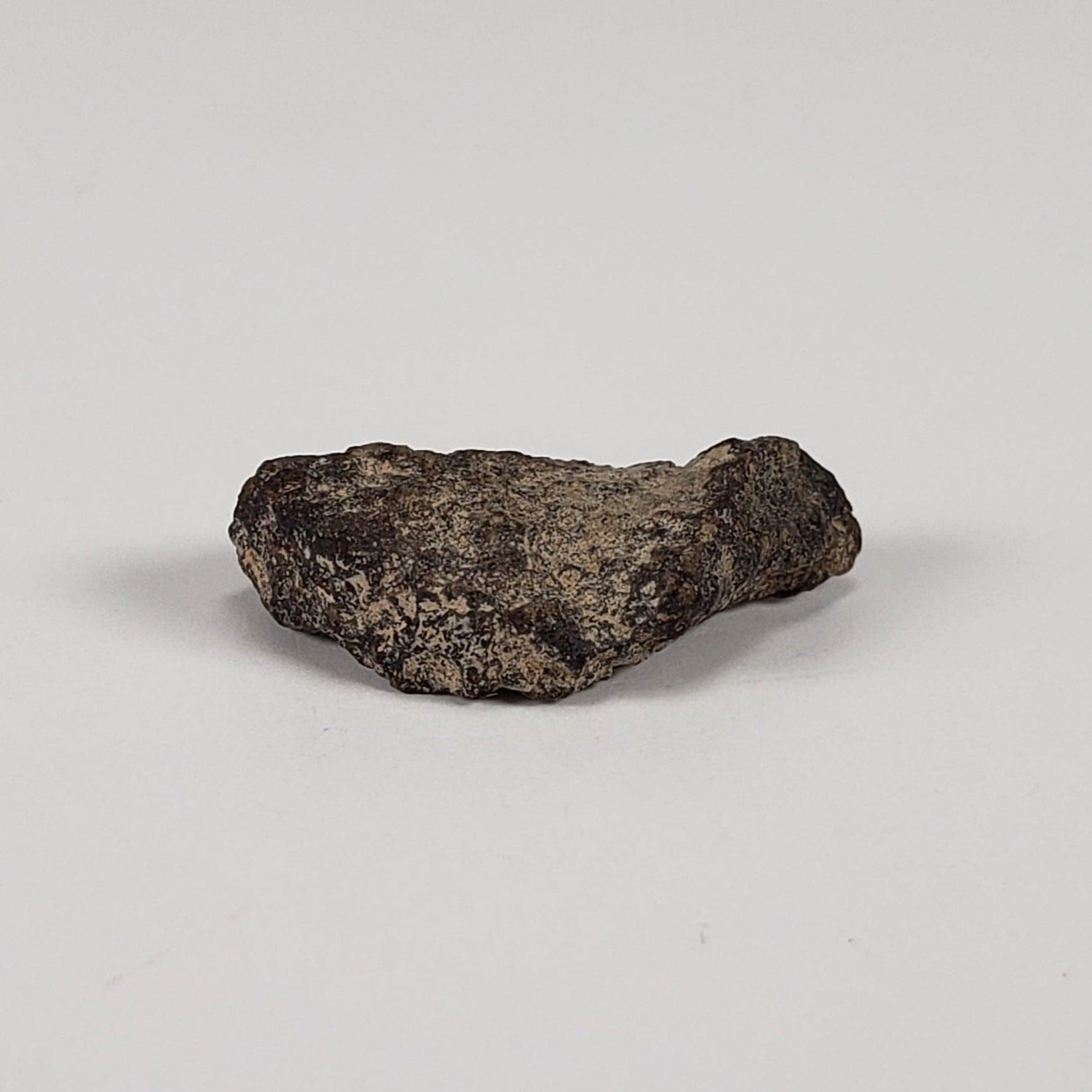  Gold Basin Meteorite | 1.0 Grams | L4 Chondrite | Arizona | SO24 1
