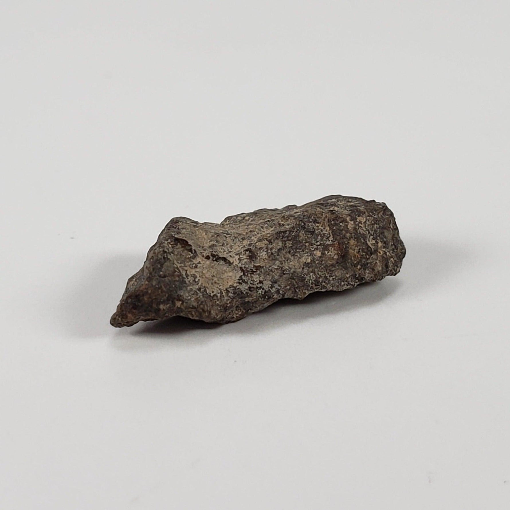 Gold Basin Meteorite | 1.0 Grams | L4 Chondrite | Arizona | SO24 2