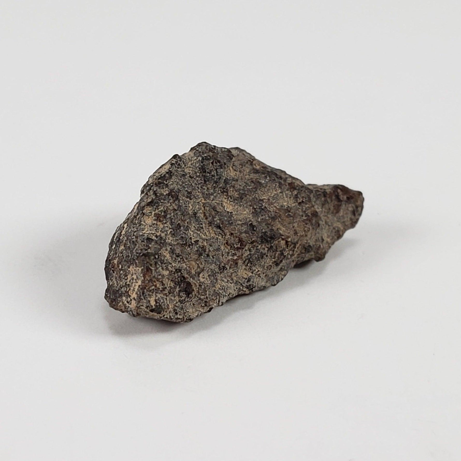  Gold Basin Meteorite | 1.0 Grams | L4 Chondrite | Arizona | SO24 3