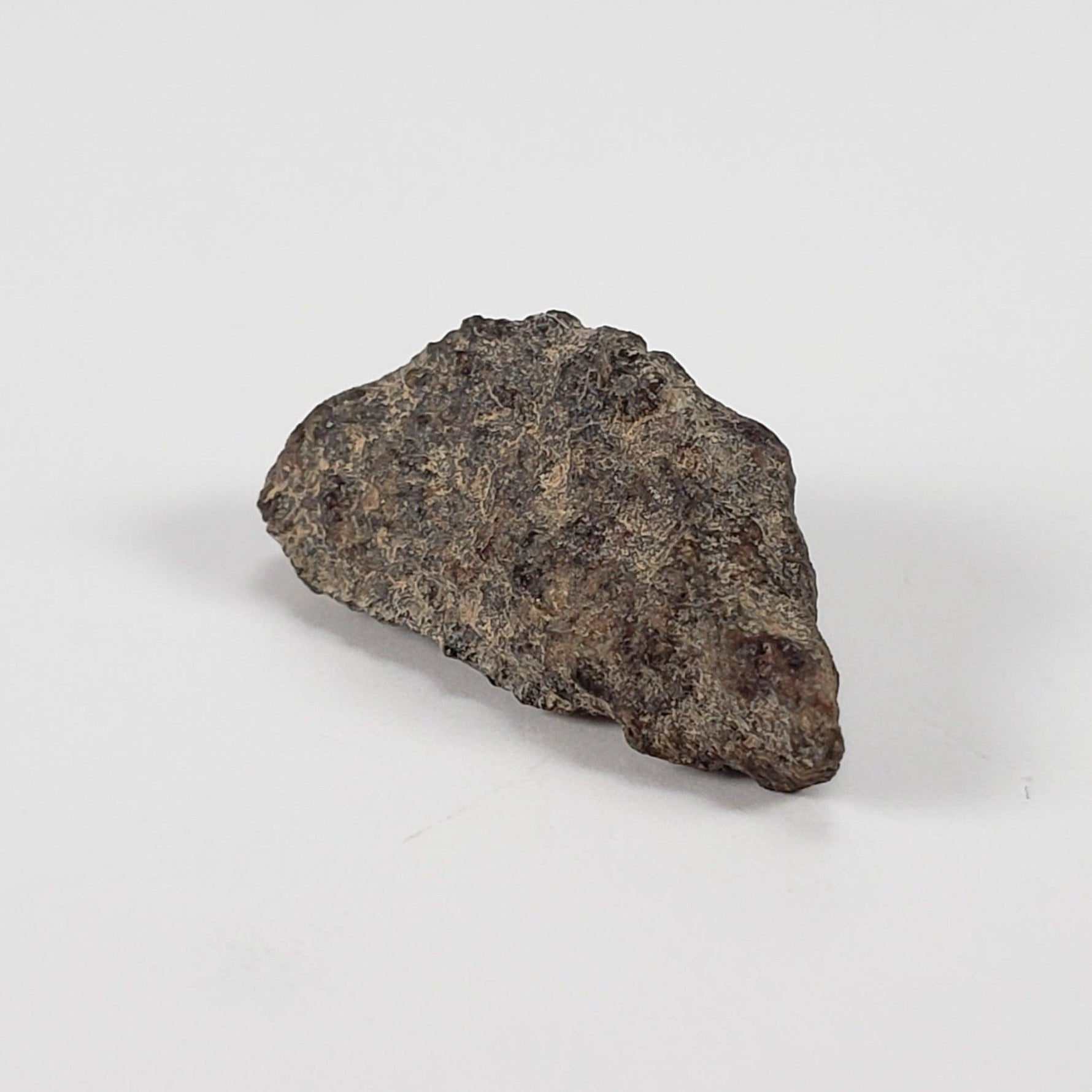  Gold Basin Meteorite | 1.0 Grams | L4 Chondrite | Arizona | SO24 5
